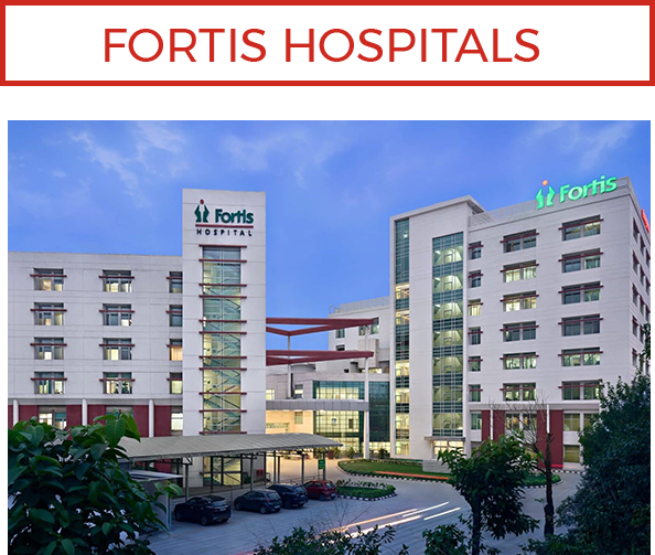 Accueil fortis